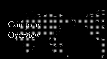 Company Overview