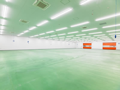 Kumamoto Plant