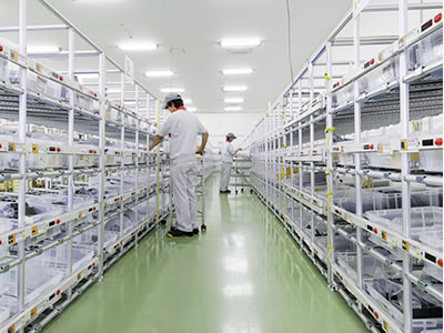 Kyushu Plant